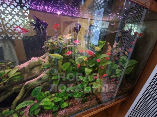 
  Сдается универсальное помещение, 130 м², Фрунзе ул, д. 40
. Фото 29.