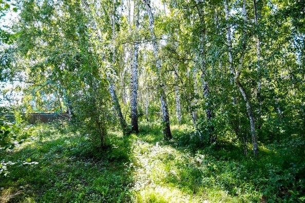 
  Продается дом 72 м². Фото 39.