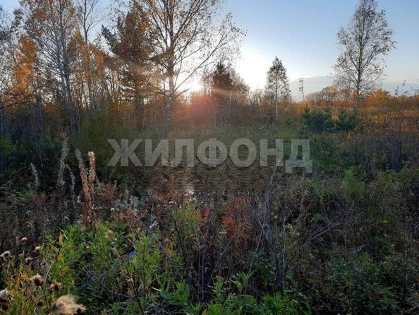 
  Продам  дачный участок, 25 соток, Лучаново

. Фото 1.