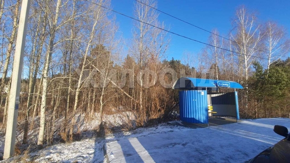 
  Продам  дачный участок, 15 соток, Казанка

. Фото 3.