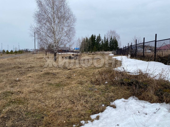
  Продам  дачный участок, 12 соток, Победа

. Фото 3.