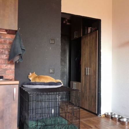 
  Продается 1-комн. квартира, 23.6 м², Юрия Ковалева ул, д. 32
. Фото 4.
