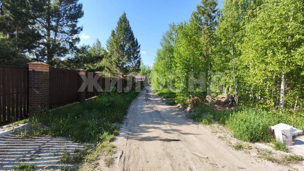 
  Продам  дачный участок, 13.2 соток, Синий Утёс

. Фото 10.