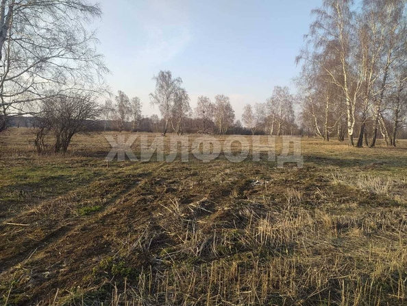 
  Продается земельный участок, 9.76 соток, село Калтай
. Фото 7.