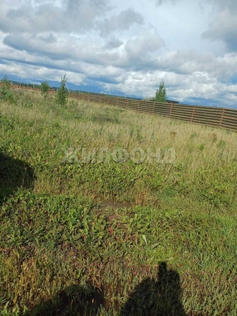 
  Продается земельный участок, 19.93 соток, поселок Чёрная Речка
. Фото 6.