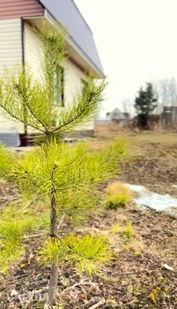 
   Продам дом, 123 м², Томск

. Фото 4.