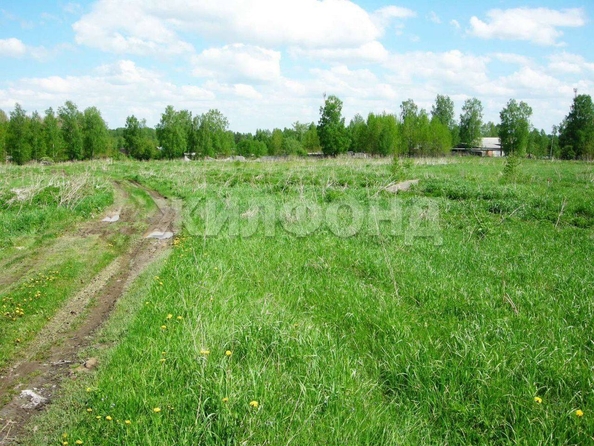 
  Продам  дачный участок, 10 соток, Кафтанчиково

. Фото 4.
