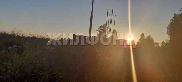 
  Продам  дачный участок, 10 соток, Кафтанчиково

. Фото 6.
