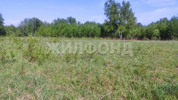
  Продам  дачный участок, 12 соток, Томск

. Фото 2.