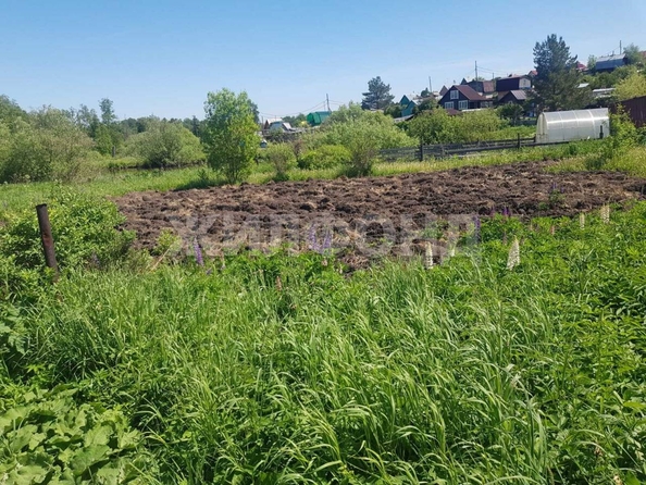 
  Продам  дачный участок, 7 соток, Томск

. Фото 7.