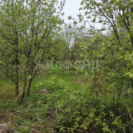 
  Продается земельный участок, 6.9 соток, Томск
. Фото 4.