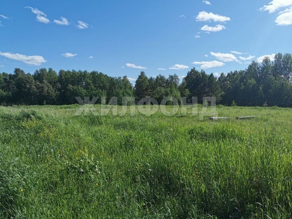 
  Продается земельный участок, 15 соток, село Кафтанчиково
. Фото 3.