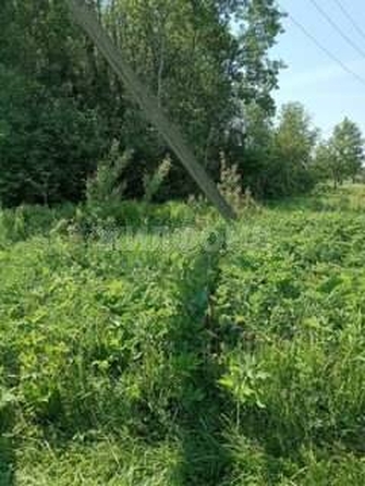 
  Продается земельный участок, 15 соток, деревня Барабинка
. Фото 4.