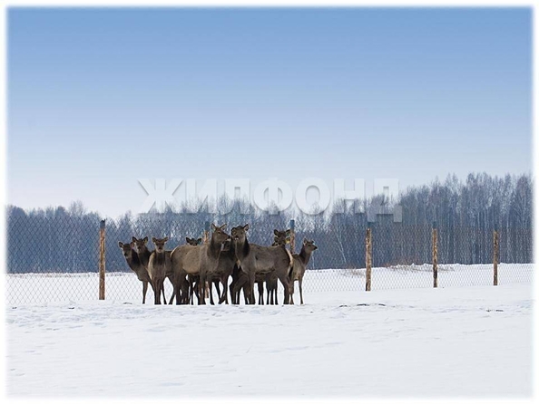 
  Продается дом, 92 м², село Елгай
. Фото 14.