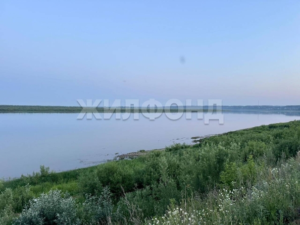 
  Продается земельный участок, 9.65 соток, село Курлек
. Фото 11.