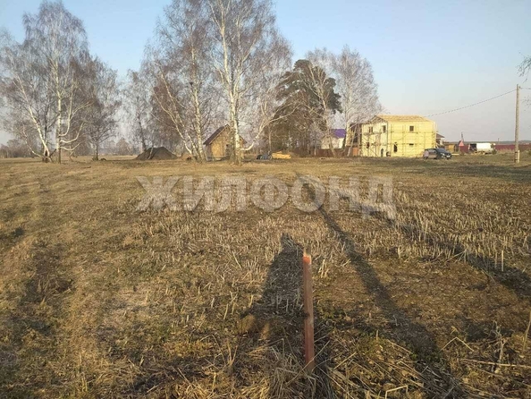 
  Продается земельный участок, 9.76 соток, село Курлек
. Фото 5.