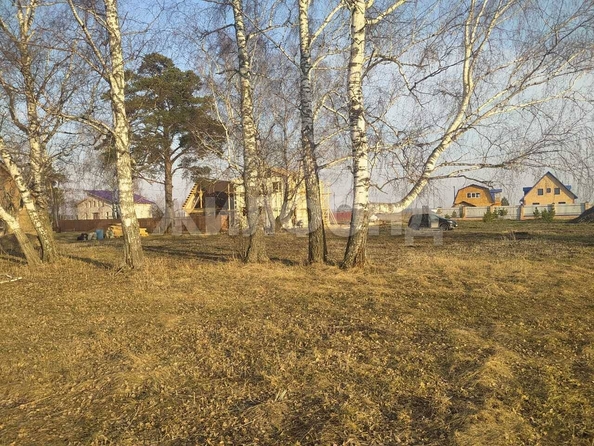 
  Продается земельный участок, 9.76 соток, село Курлек
. Фото 10.