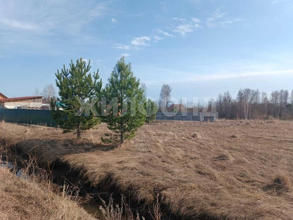 
  Продается земельный участок, 6 соток, село Кафтанчиково
. Фото 3.