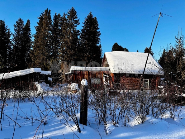 
  Продается земельный участок, 12.7 соток, село Курлек
. Фото 8.