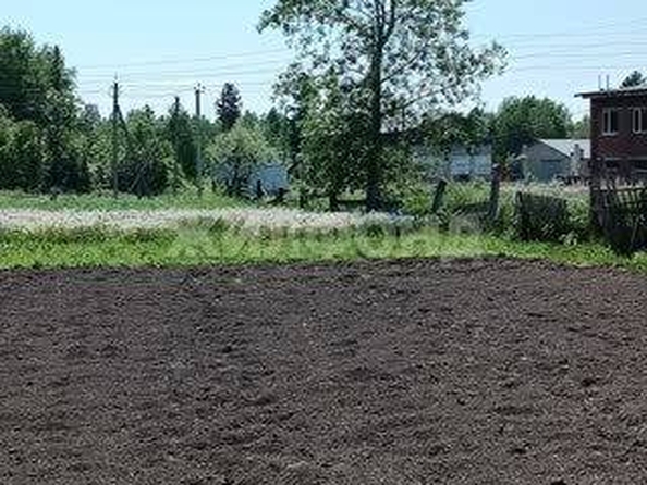 
  Продается земельный участок, 8 соток, деревня Барабинка
. Фото 4.