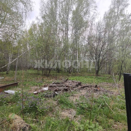 
  Продается земельный участок, 7.04 соток, Томск
. Фото 4.