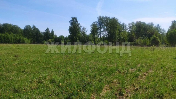 
  Продается земельный участок, 408 соток, деревня Госконюшня
. Фото 5.