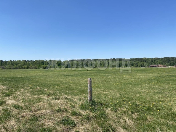 
  Продается земельный участок, 15 соток, село Курлек
. Фото 14.