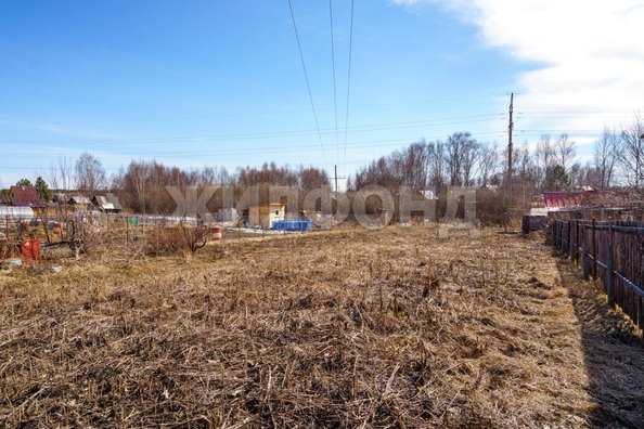 
  Продается земельный участок, 10 соток, деревня Петровский Участок
. Фото 1.