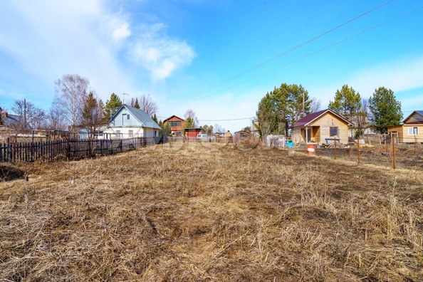 
  Продается земельный участок, 10 соток, деревня Петровский Участок
. Фото 3.