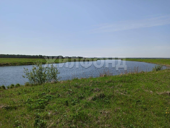 
  Продается земельный участок, 2480 соток, село Вершинино
. Фото 3.