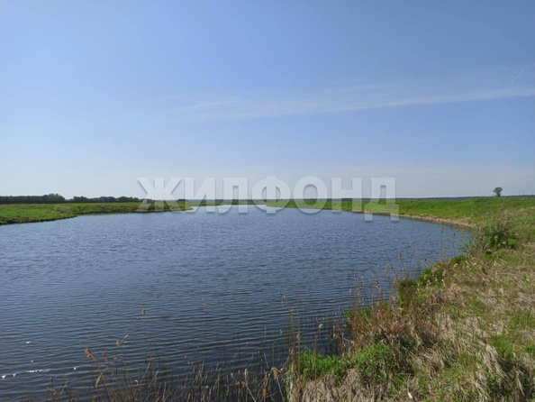 
  Продается земельный участок, 2480 соток, село Вершинино
. Фото 5.