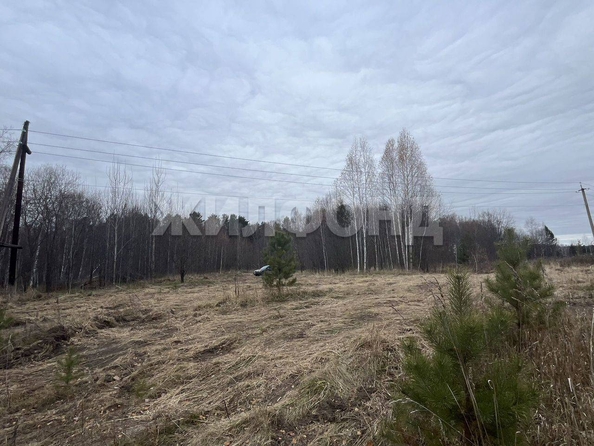 
  Продается земельный участок, 10 соток, поселок Синий Утёс
. Фото 2.