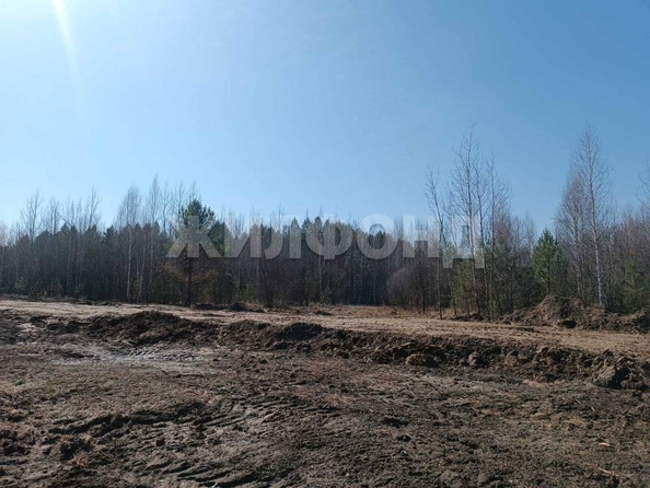 
  Продается земельный участок, 6 соток, деревня Кисловка
. Фото 5.