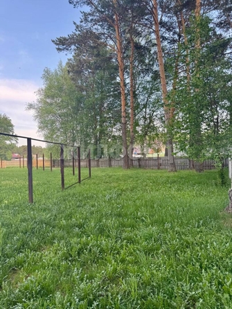 
  Продается земельный участок, 15 соток, село Курлек
. Фото 6.