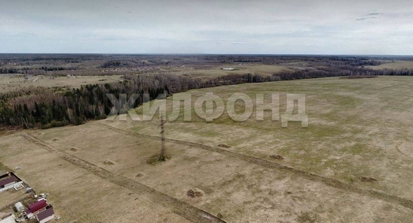 
  Продается земельный участок, 7.25 соток, село Корнилово
. Фото 3.