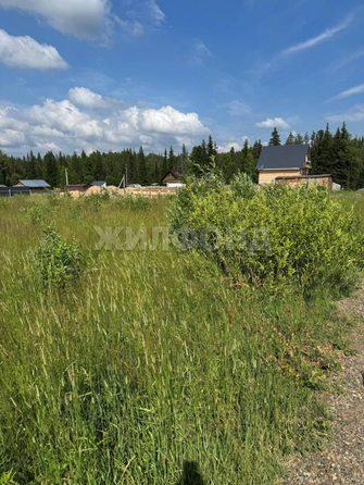
  Продается земельный участок, 7.25 соток, село Корнилово
. Фото 11.