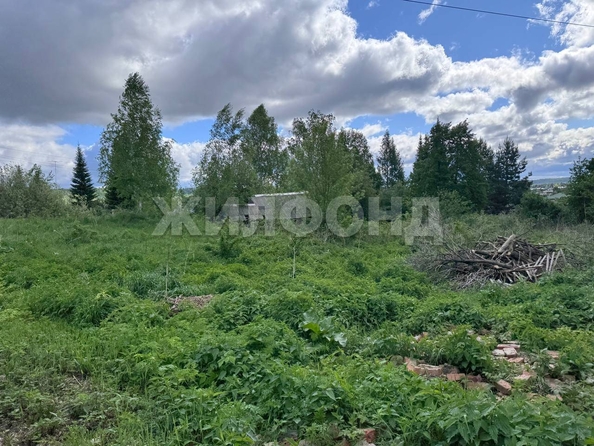 
  Продается земельный участок, 10 соток, село Коларово
. Фото 2.