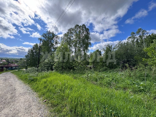 
  Продается земельный участок, 10 соток, село Коларово
. Фото 5.