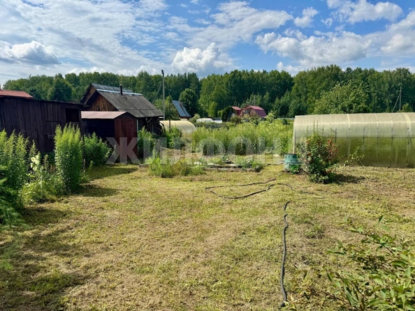 
  Продается дача, 42 м², село Курлек
. Фото 9.
