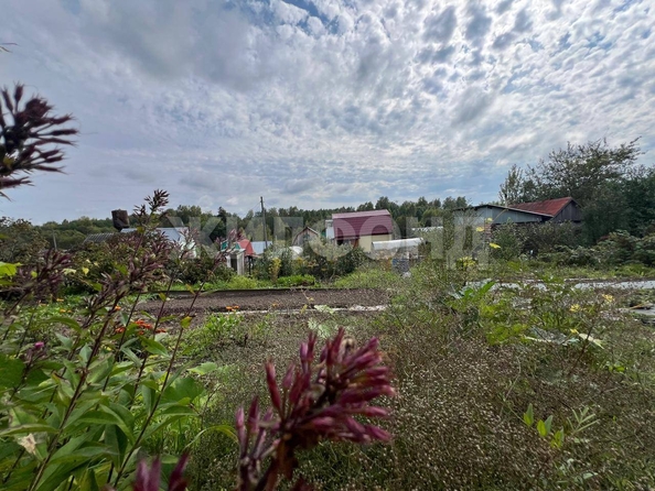 
  Продается дача, 14 м², Томск
. Фото 7.