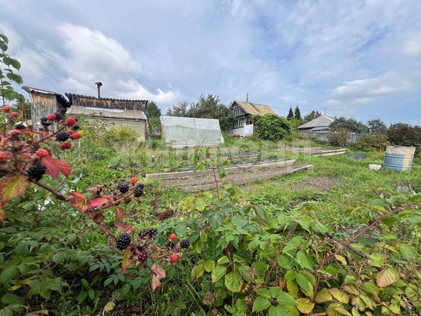 
  Продается дача, 14 м², Томск
. Фото 10.