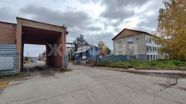 
  Продается производственное помещение, 100000 м², Кузовлевский тракт
. Фото 4.