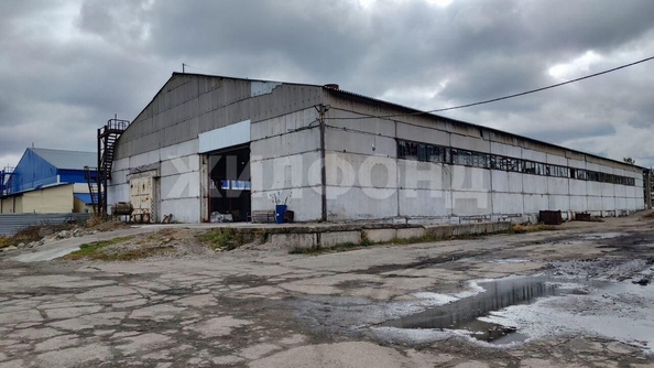 
  Продается производственное помещение, 100000 м², Кузовлевский тракт
. Фото 30.