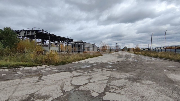 
  Продается производственное помещение 100000 м². Фото 26.