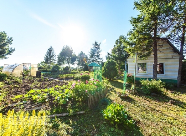 
  Продается дача 45 м². Фото 8.