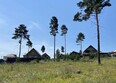 ДНТ Перспектива: 