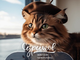 Рассрочка без процентов