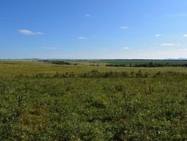 Продается Земля сельхозназначения 1100  сот., 16500000 рублей