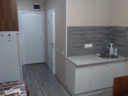 Снять однокомнатную квартиру Толстого ул, 18 м², 16000 рублей