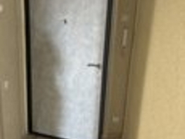 Продается Студия ЖК Мичурино, дом 2 стр 7, 52.3  м&sup2;, 6200000 рублей